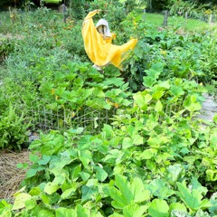 Guardess with pumpkin