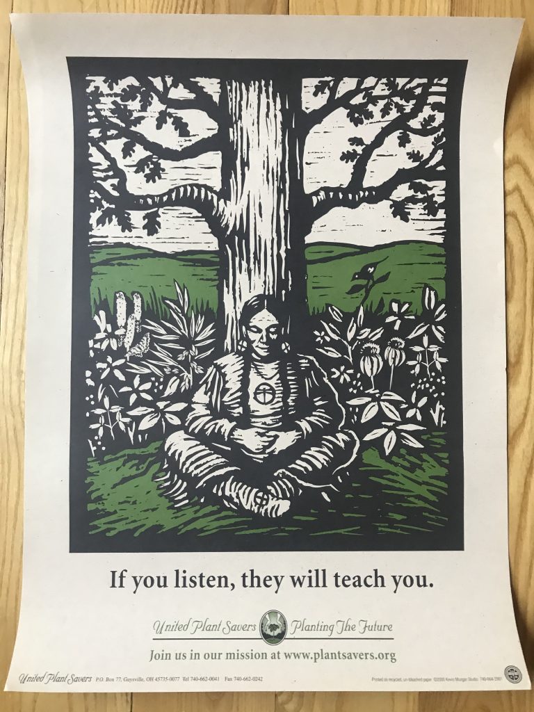 "If you listen, they will teach you" Poster