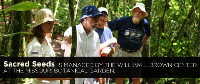 Sacred Seeds Management