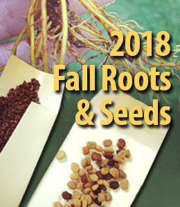 2018-fall-roots-&-seeds - United Plant Savers