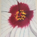 JACK IN THE PULPIT