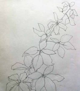 hand-drawn-leaves