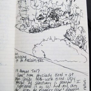 ziff sketchbook