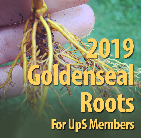 2019-Fall-Roots - United Plant Savers