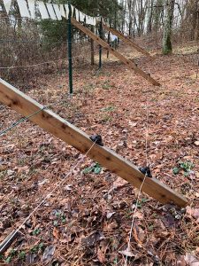 Mowing a path through the forest for our new deer exclusion fence.