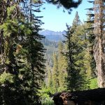Sierra Views