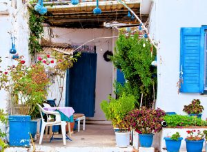 Greek-families-without-gardens-find-ways-to-keep-their-plant-allies-close-by