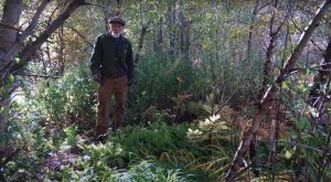 Michael examining the understory