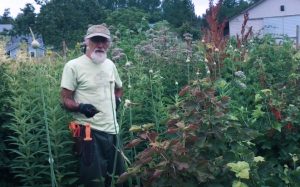 Michael in a 2nd year medicinal agroforestry planting in Port Townsend, WA
