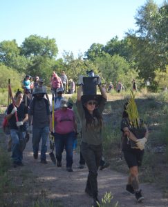 YMP-volunteers-entering-the-bosque_Dara-Saville-crop