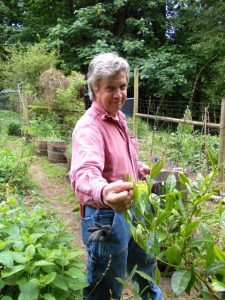 Michael-picking-Tea-leaves-to-make-some-green-tea