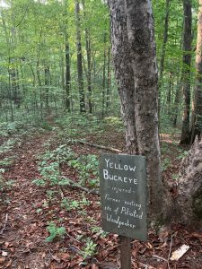 yellow-buckeye-trailsign