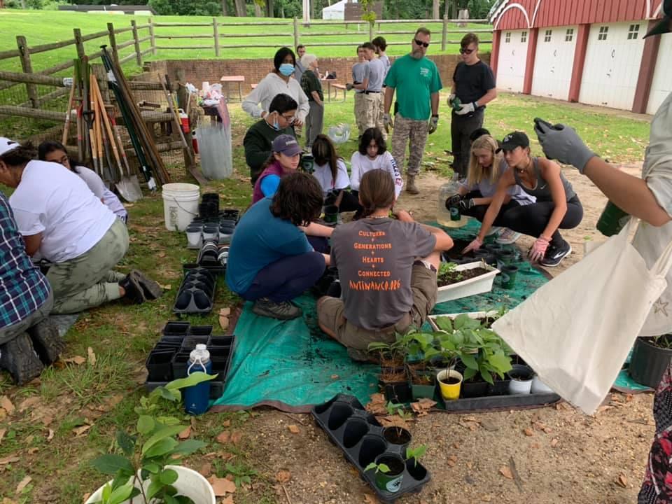 5. Antinanco Earth Arts School - Bringing Back the American Chestnut Tree and Native Medicinal and Food-Producing Species, Partners in Education