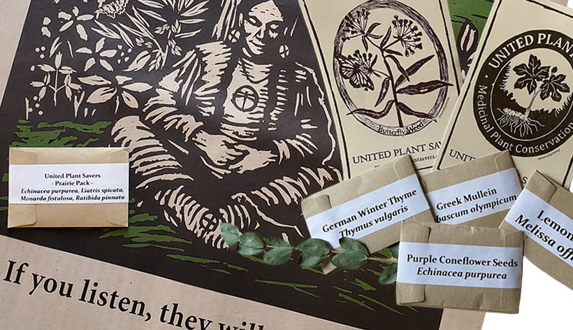 spring seeds, stickers and vintage poster