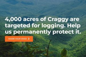 Protect Craggy National Scenic Area