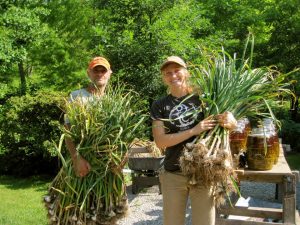 Paul Strauss and Lonnie Galt-Theis holding armfuls of garlic