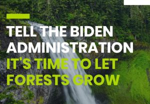 Let Old Forests Grow