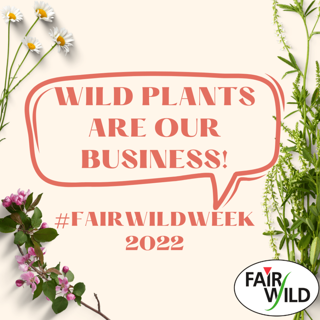 Fairwild Week 2022 Wild Plants are our Business