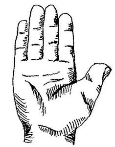 five finger medicine