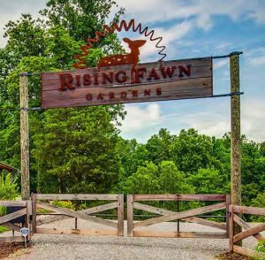 rising farm gardens