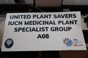 Setting up at IUCN