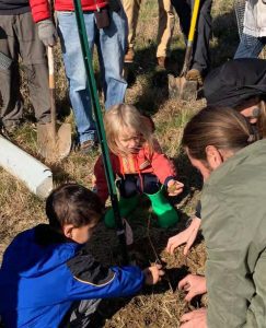 Tree planting event in Emmaus, PA