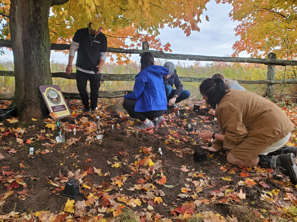Volunteers planting at-risk herbs in the Peterborough Community Medicine Garden.