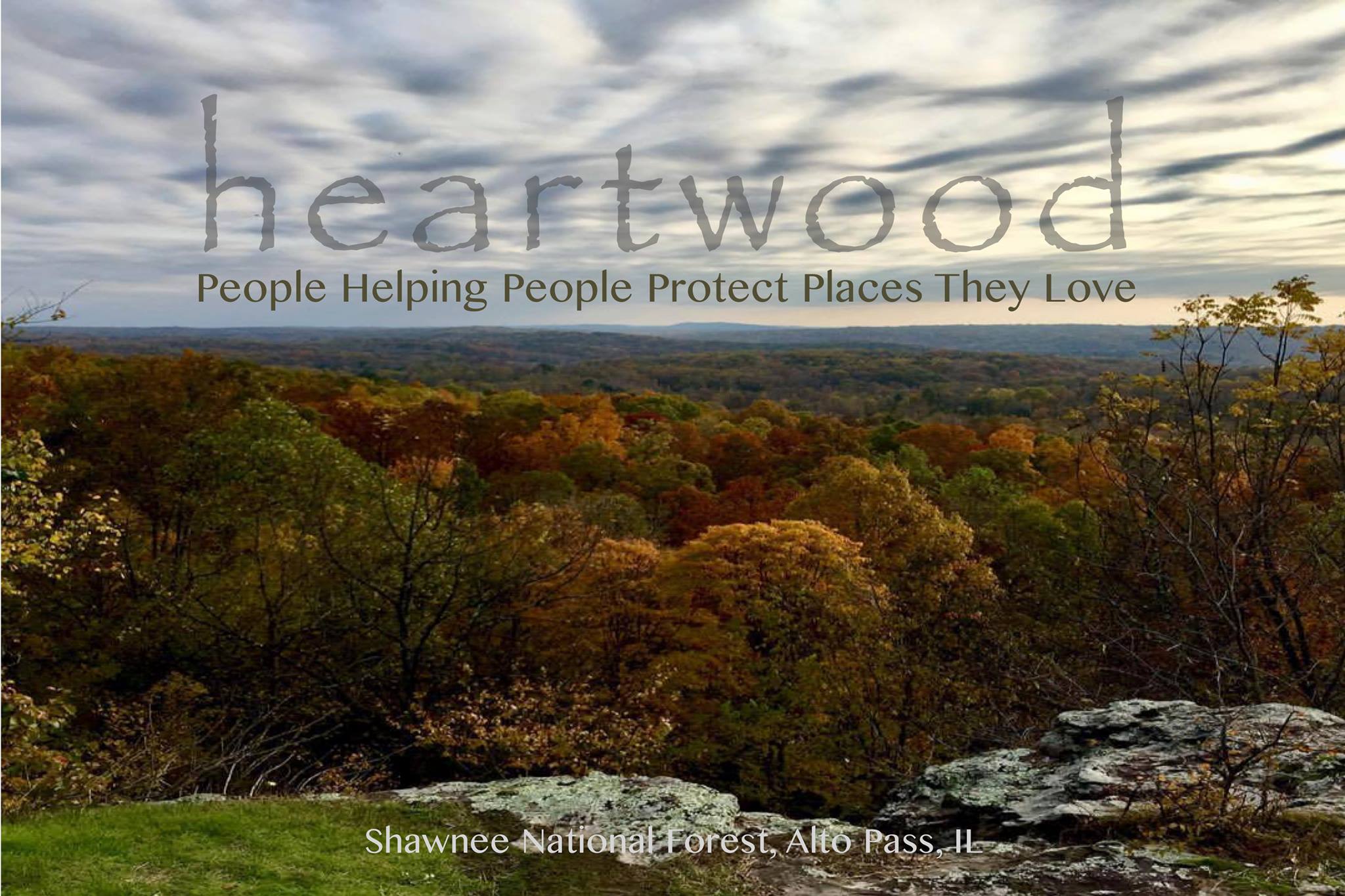 heartwood forest council