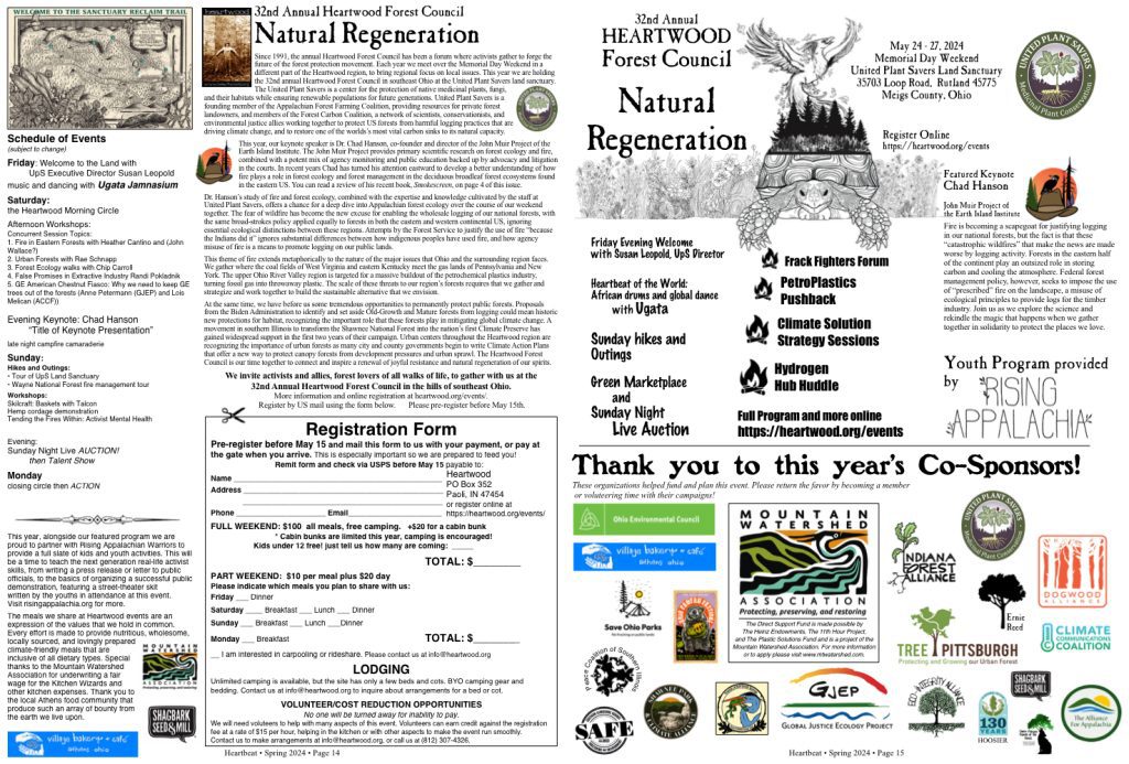 32nd Heartwood Forest Council 2024