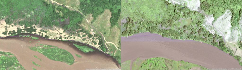 Restoration area in 2016 (left) and 2022 (right)
