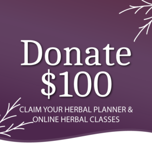 2025 Year-End Fundraiser