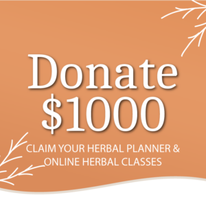 Donate $1000