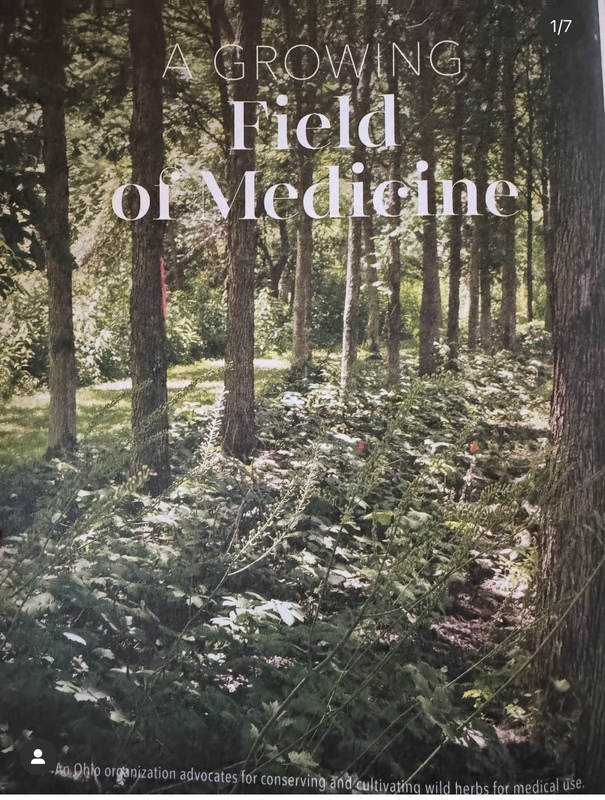 Field of Medicine
