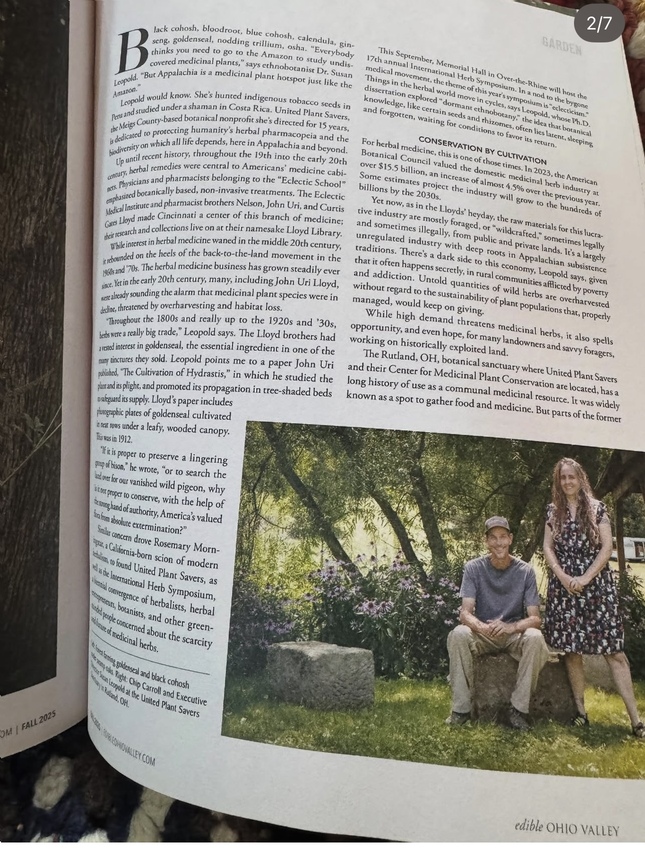 Article