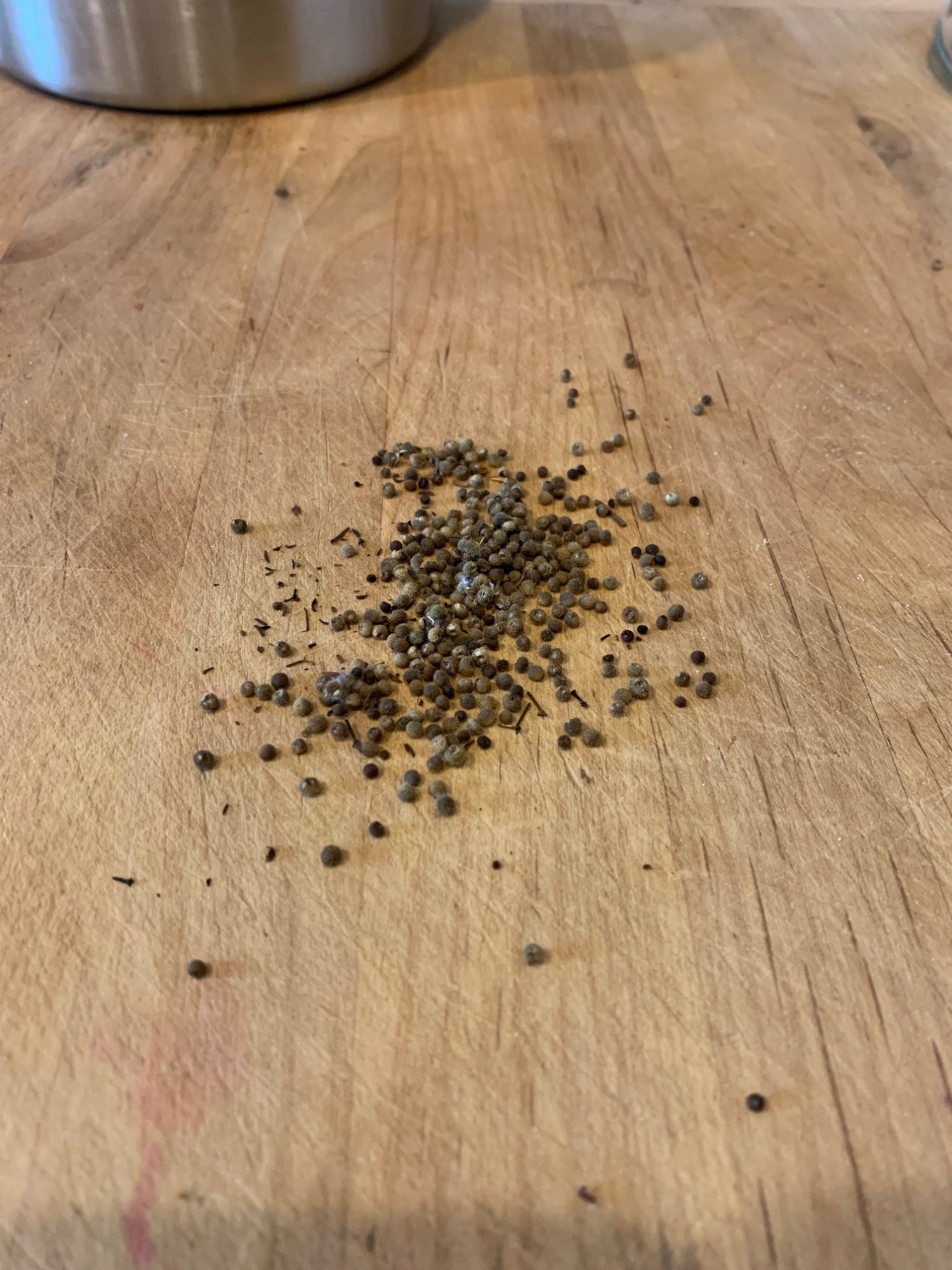 Cleaver-SeedsKatrina-Matos