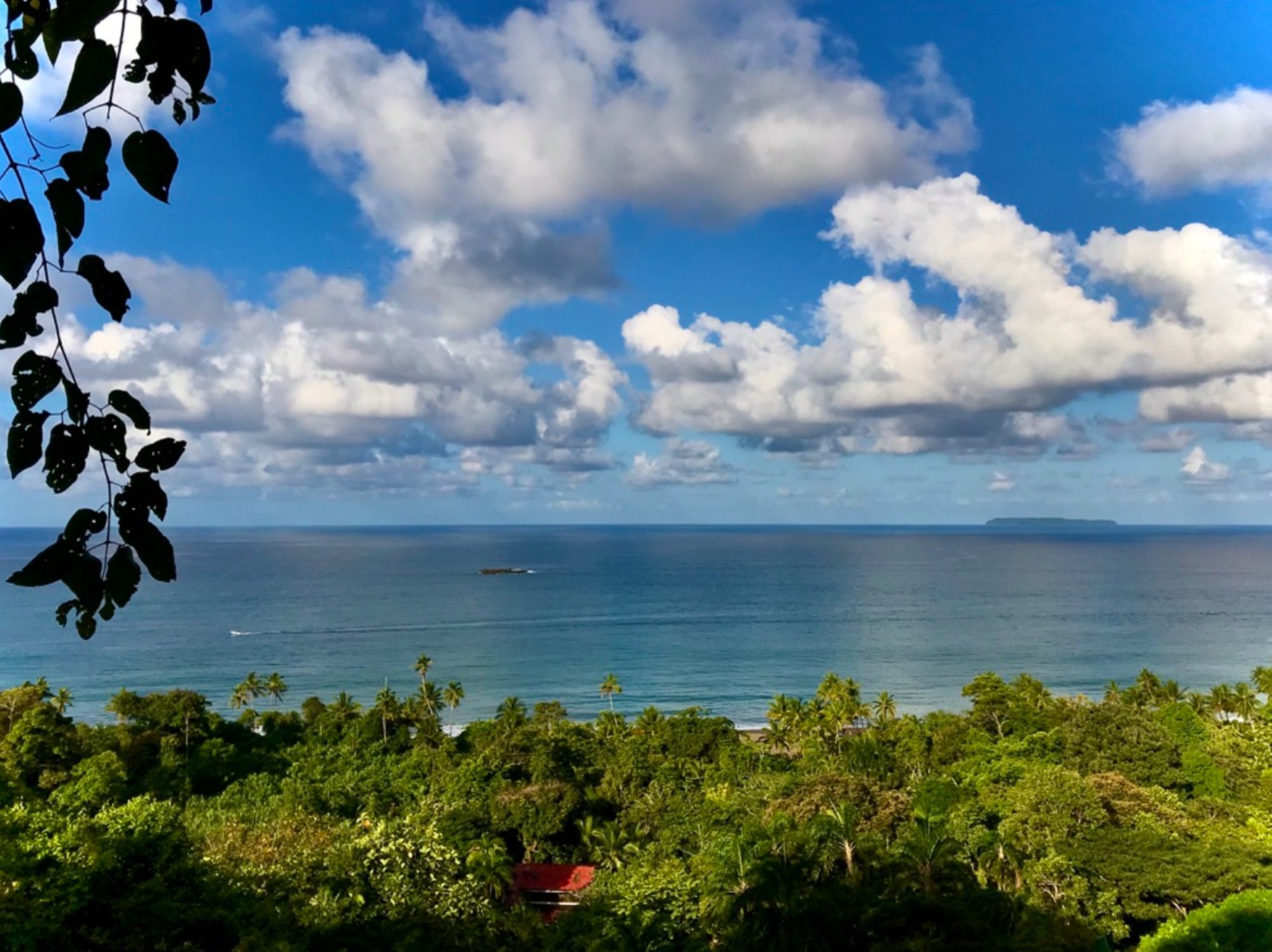 Ocean Forest Ecolodge view