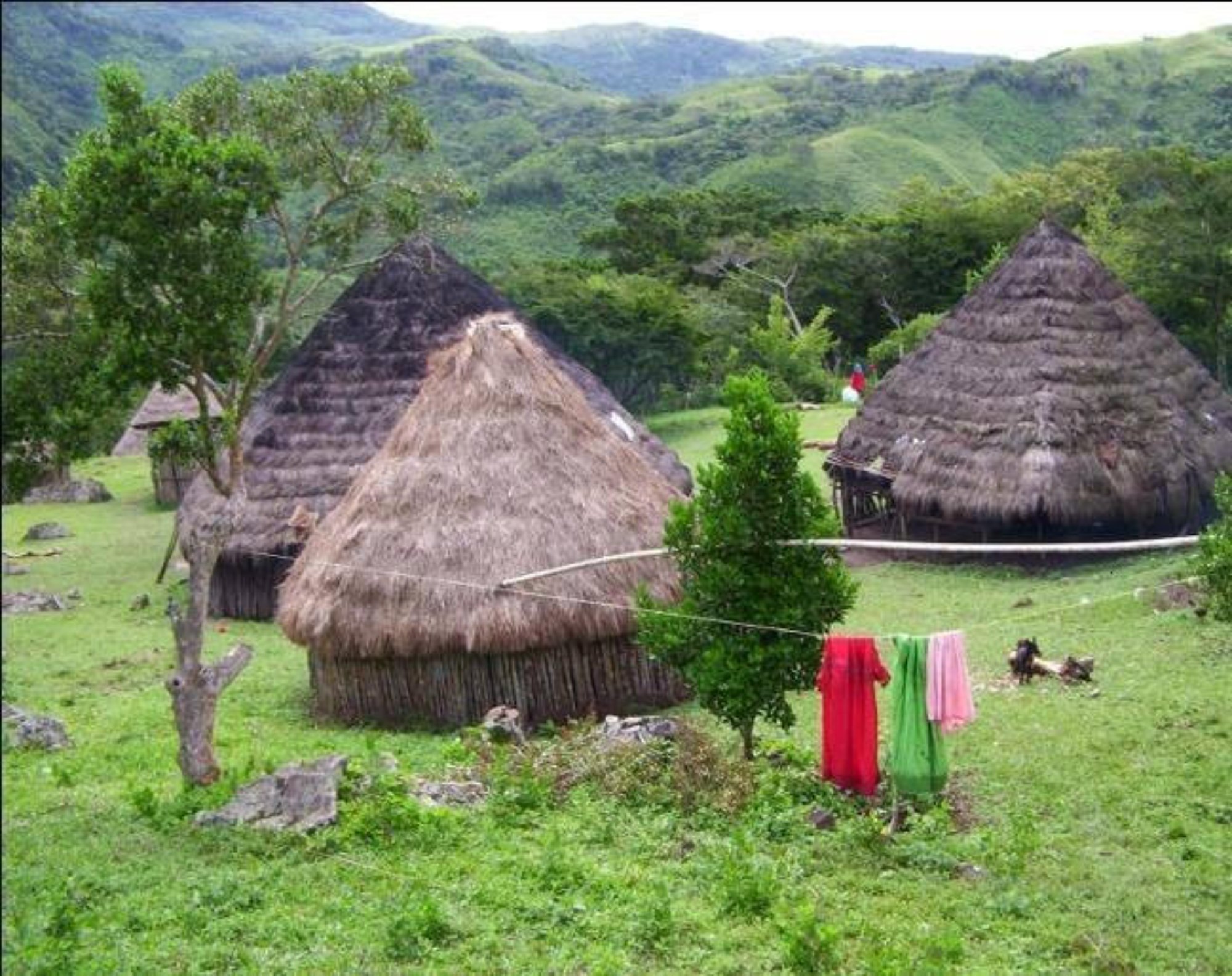 Traditional Conical Homes